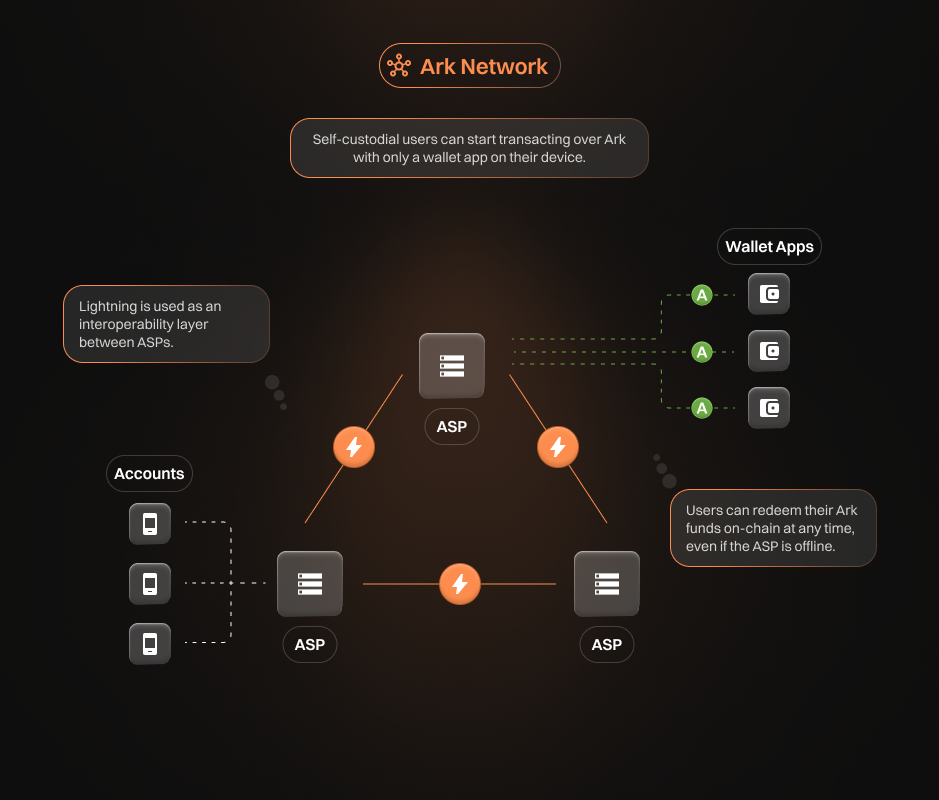 Bitcoin-Startup setzt voll auf neues Layer 2 Scaling-Protokoll.