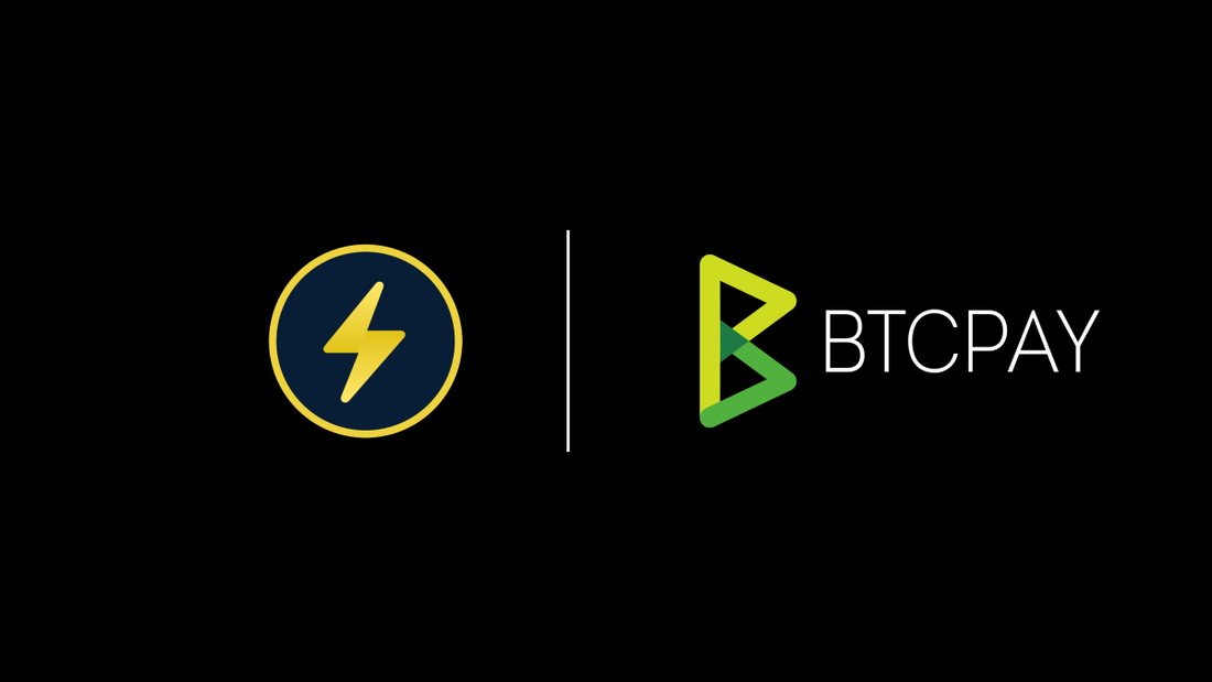 Boltz Bitcoin Swap Service launcht BTCPay Server Plugin für Lightning-Zahlungen