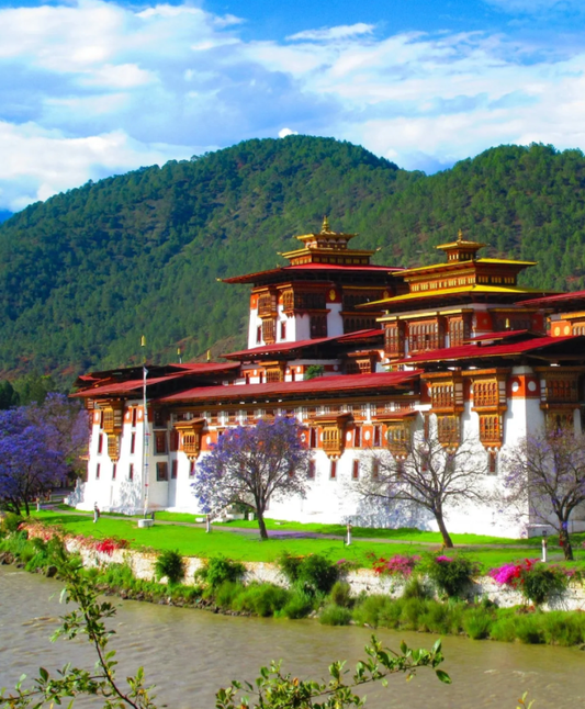 Bhutan plant eine Steigerung der Bitcoin-Mining-Kapazität um 500 % vor dem Halving.